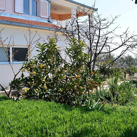 Apartamento Sunce.1 Rogoznica (Sibenik-Knin)